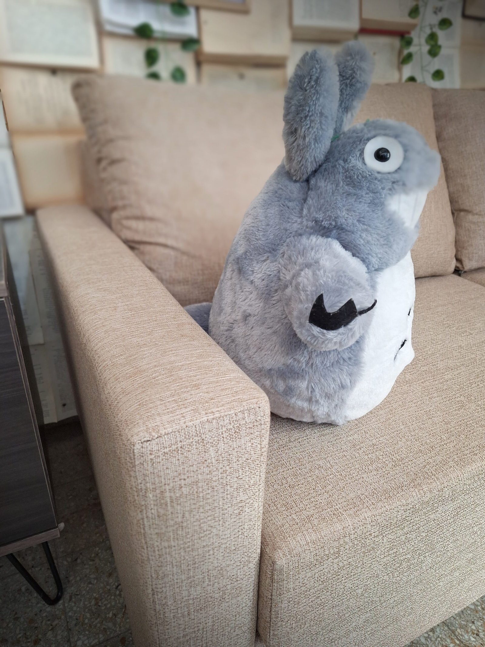 Sofá Living 2 cuerpos Modelo Fini - Imagen 10