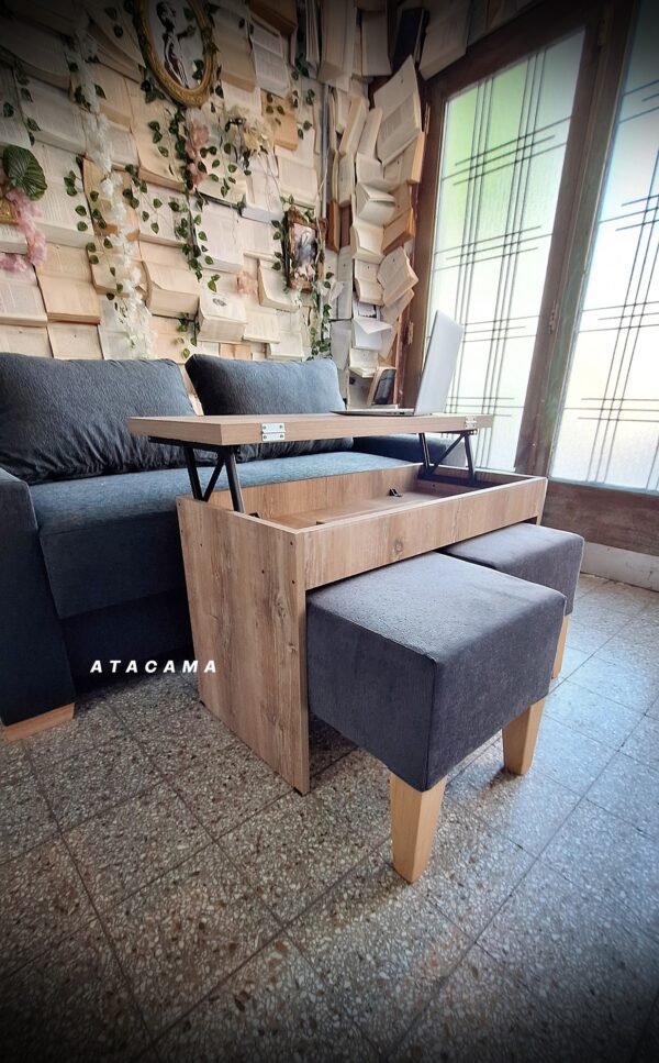 Ratona libro - Imagen 4